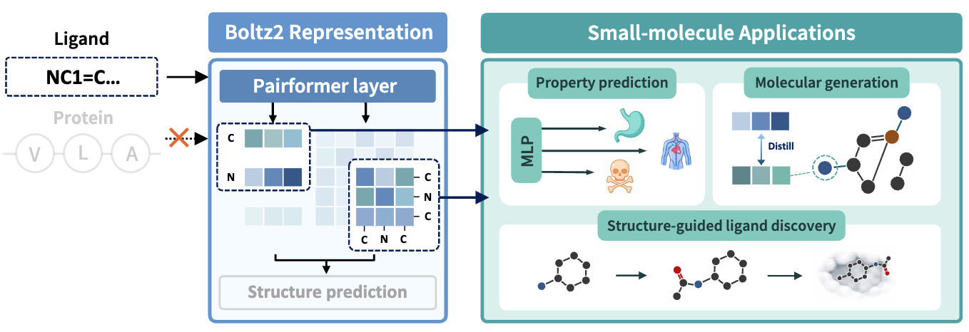 A Systematic Evaluation of Co-folding Model Representations for Small-Molecule Learning